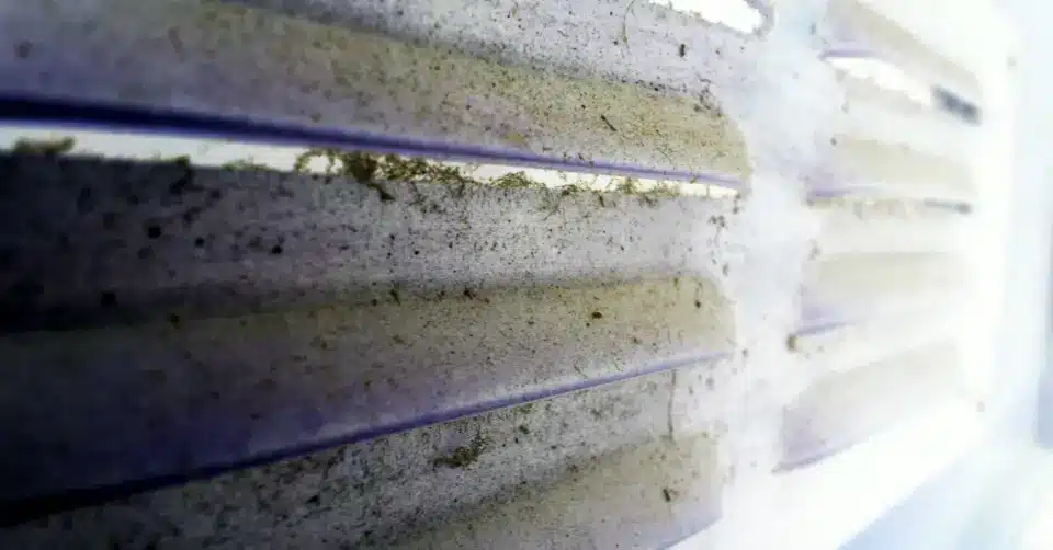 How To Get Rid Of Mold In Ductwork