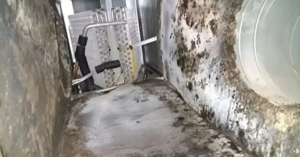 best duct cleaning company in the usa