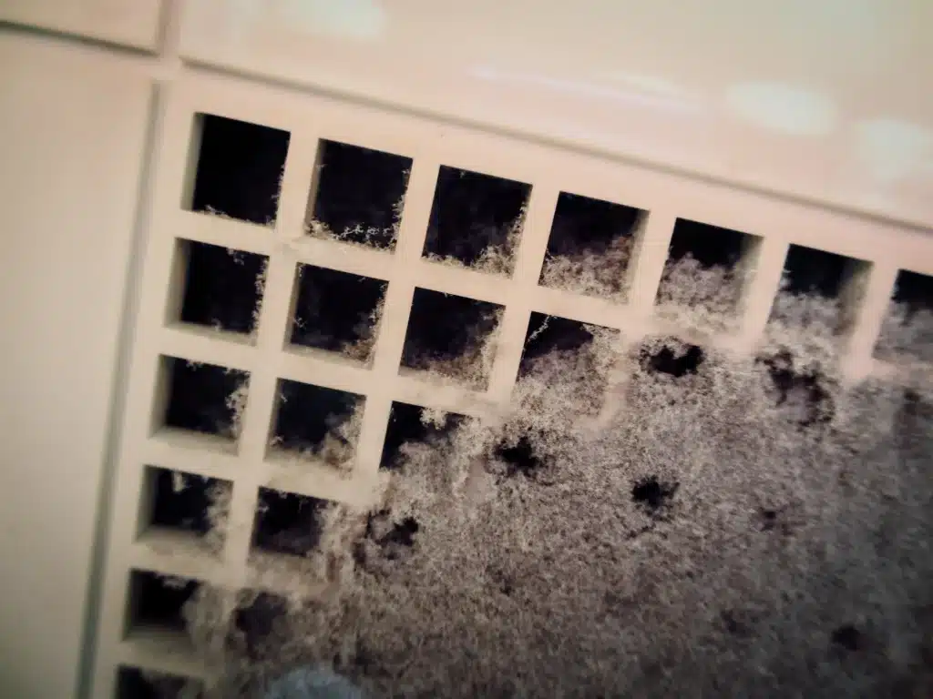 getting rid of mold in ductwork