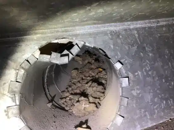 air duct mold removal services